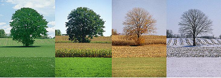 Insomniac《漫威金刚狼》将在2024年发售